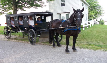 Full Day Amish Country Guided Tour